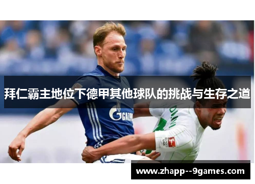 拜仁霸主地位下德甲其他球队的挑战与生存之道