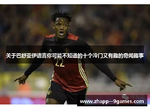 关于巴舒亚伊语言你可能不知道的十个冷门又有趣的奇闻趣事