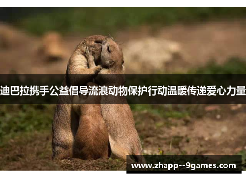 迪巴拉携手公益倡导流浪动物保护行动温暖传递爱心力量