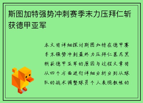 斯图加特强势冲刺赛季末力压拜仁斩获德甲亚军