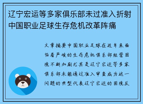 辽宁宏运等多家俱乐部未过准入折射中国职业足球生存危机改革阵痛